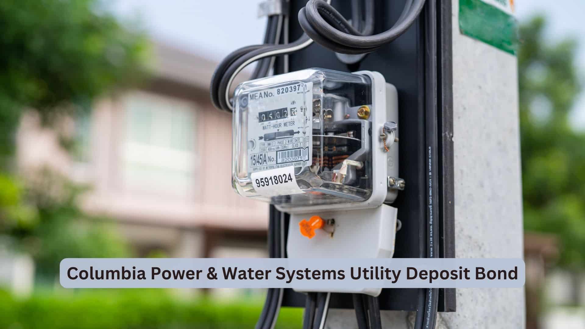 Empowering Utility Services The Columbia Power & Water Systems Utility