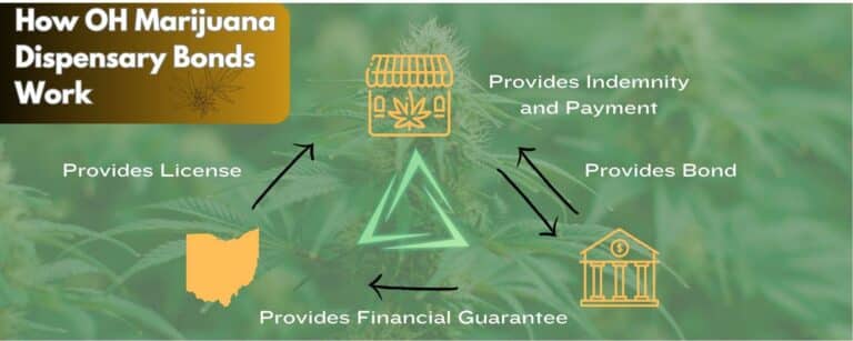 A chart showing how Ohio Medical Marijuana Dispensary License Bonds Work. An image of a cannabis plant in the background.