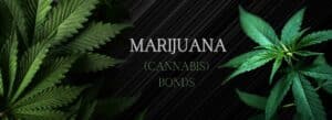Marijuana leaves on both sides. Marijuana (Cannabis) Bonds in the middle.