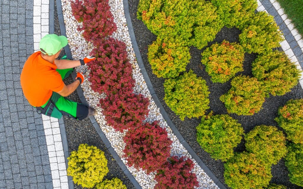 gardener-tending-to-colorful-shrubs-in-a-beautiful-2024-08-13-19-40-51-utc_11zon