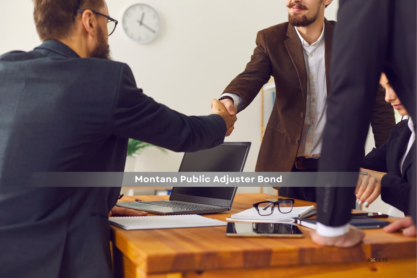 Montana Public Adjuster Bond - For a cost, public adjusters will prepare your claim and submit it to your insurance provider on your behalf.