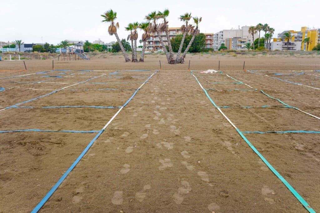 beach-in-spain-delimited-with-spaces-with-bands-in-2024-10-18-08-54-13-utc_11zon