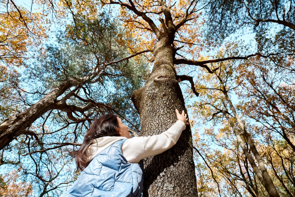 happy-middle-aged-woman-hugging-big-tree-in-autumn-2023-11-27-05-29-55-utc_11zon
