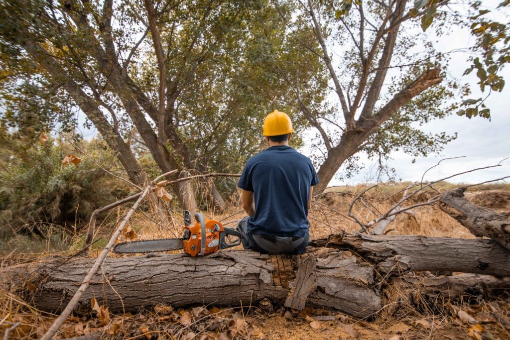 lumberjack-with-a-chainsaw-in-a-forest-2023-11-27-05-34-55-utc_11zon
