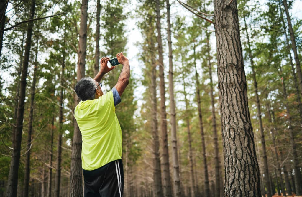 Man, phone photography and trees in woods for art, social media post or memory on walk, hiking or a.