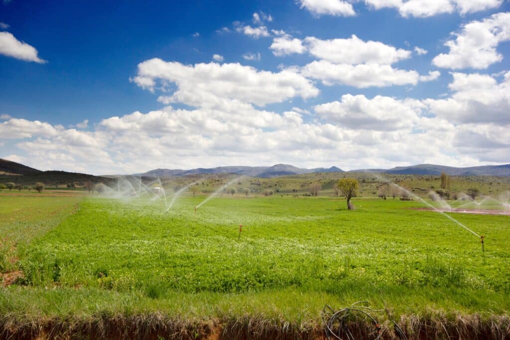 Amarillo, TX-Landscape Irrigator or Irrigator Tech ($10,000) Bond
