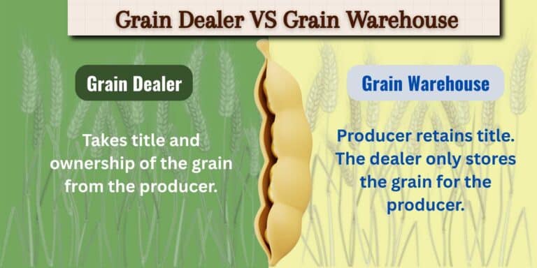 A graphic showing the difference between a grain dealer and grain warehouse. A soybean in the middle and wheat in the background.