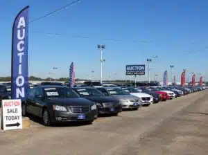 Rows of vehicles lined up at an outdoor motor-vehicle dealer auction